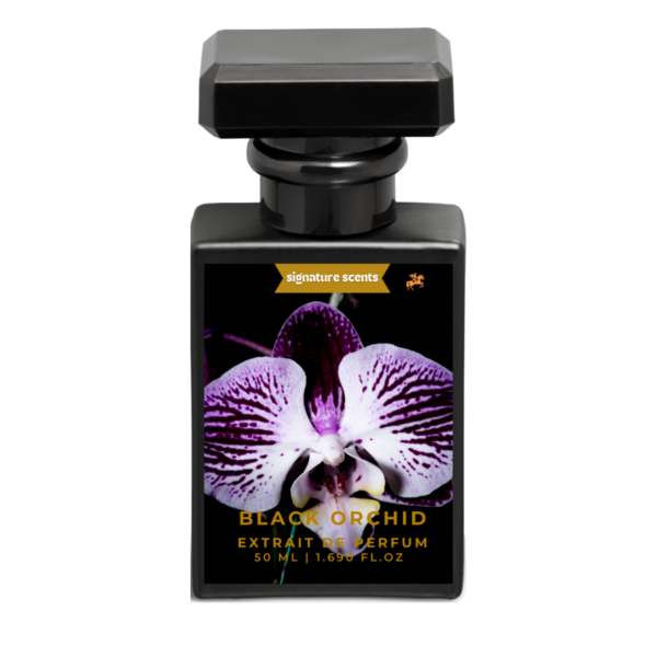 Black Orchid - Image 2