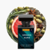Spruce Aura
