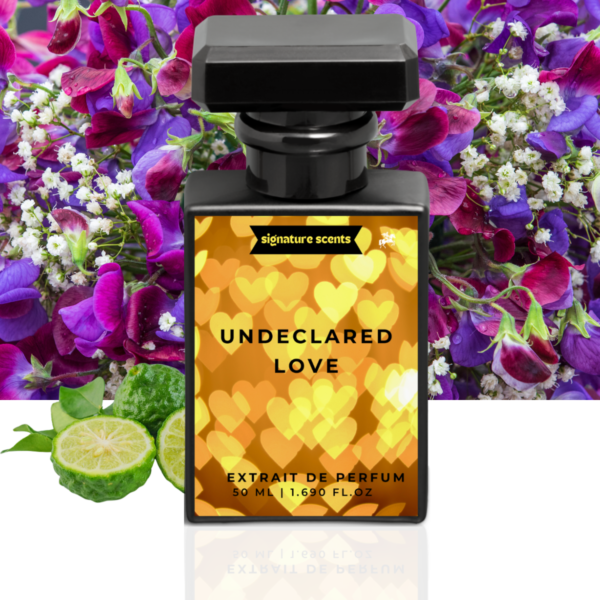 Undeclared Love
